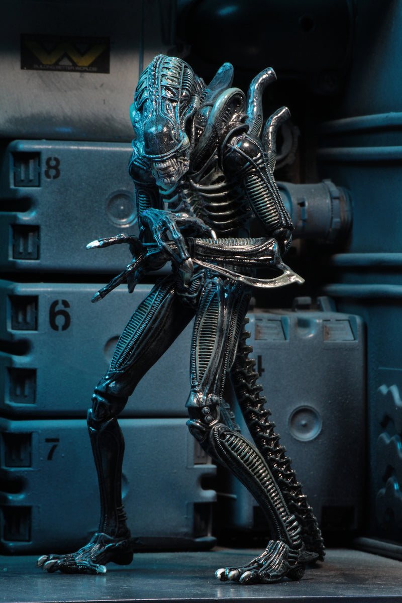 ALIENS (1986) ALIENS WARRIOR BLUE ULTIMATE 7 INCH SCALE ACTION