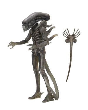 ALIEN 40TH ANNIVERSARY WAVE 4 - 7 INCH SCALE ACTION FIGURE