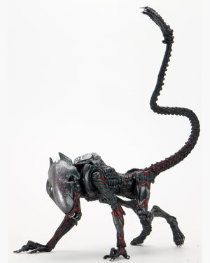 ALIENS NIGHT COUGAR ALIEN (KENNER TRIBUTE) 7 INCH  SCALE ACTION FIGURE