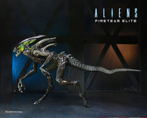 Aliens: Fireteam Elite Action Series 2 Spitter Alien 7" Action Figure "Pre-Order Dec/Jan 2022 Approx"